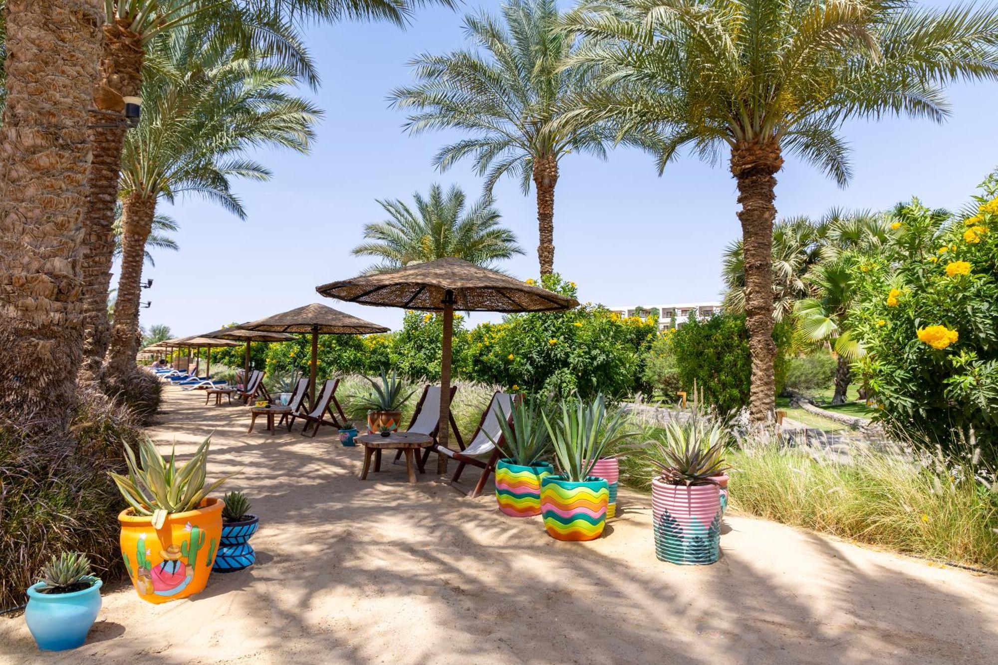 אתר נופש Arabesque Resort, & הורגהדה